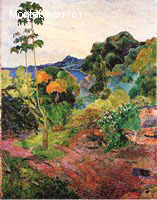 Végétation Tropicale, Martinique
