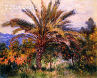 Un palmier à Bordighera
