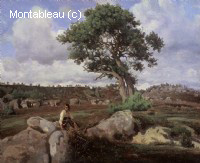 Fontainebleau, 'The Raging One'