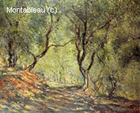 L'olivier dans le jardin de Moreno