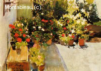 Une terrasse avec des fleurs