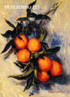 Branche d'oranger et ses fruits