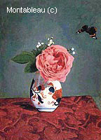 Rose du Jardin et Bleus 'Ne m'Oubliez Pas' (Myosotis) dans un Vase