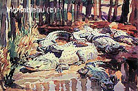 Alligators dans la Boue