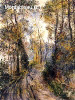 The Path through the Forest