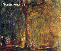 Weeping Willow
