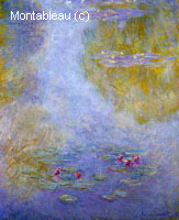 Water-Lilies