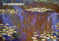 Water-Lilies