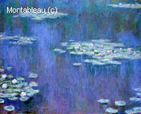 Water-Lilies