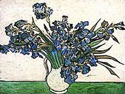 Irises