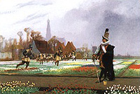 The Tulip Folly