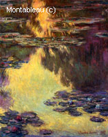 Water-Lilies