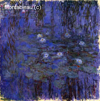 Water-Lilies