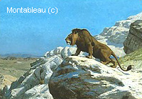 Lion on the Watch
