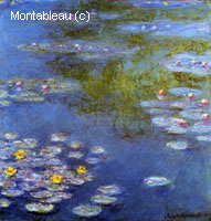 Water-Lilies
