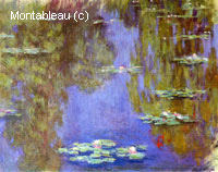 Water-Lilies