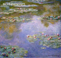 Water-Lilies