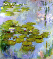 Water-Lilies