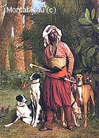 The Negro Master of the Hounds