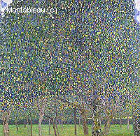 Pear Tree