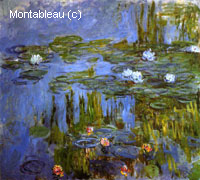 Water-Lilies