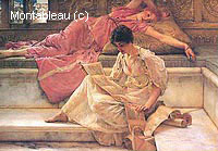 The Favourite Poet
