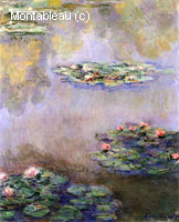 Water-Lilies
