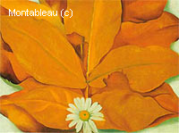 Yellow Hickory Leaves with Daisy
