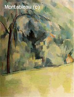Morning in Provence
