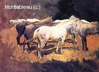 Horses at Palma