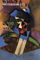 The Bull Fighter
