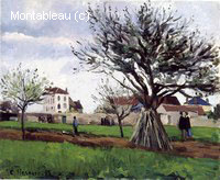 Pommiers à Pontoise (La Maison du Père Gallien)