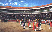 Plaza de Toros The Entry of The Bull