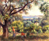 Cagnes Landscape