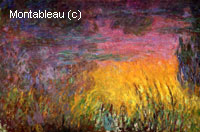 Coucher du soleil (moitié gauche)