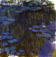 Water-Lilies