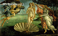 The birth of venus