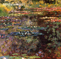 Water-Lilies
