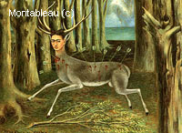 The Wounded Deer