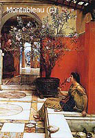 An Oleander