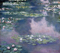 Water-Lilies