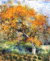 The Pear Tree