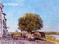Chestnut Tree at Saint-Mammes