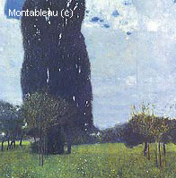 The Large Poplar (Thunderstorm Get Up)