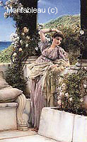 Rose of All Roses