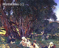 Albanian Olive Pickers