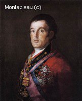 Portrait of the Duke of Wellington