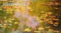 The Water-Lily Pond