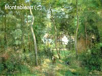 Bord des Bois ou Broussailles en Eté