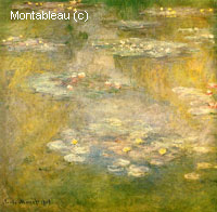 Water-Lilies